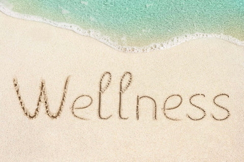 Wellnessについて