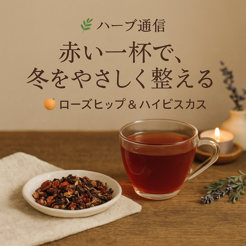 赤い一杯で、冬をやさしく整える