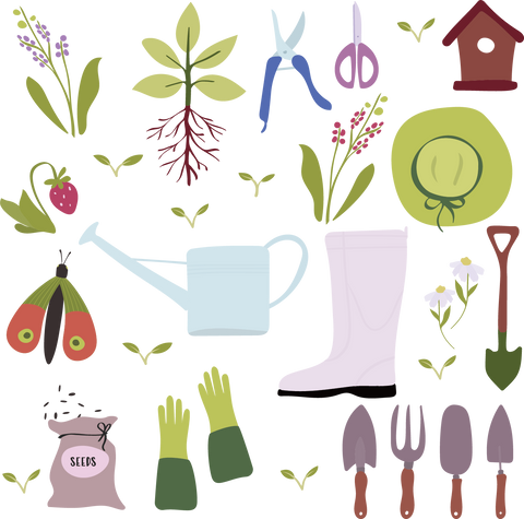 ハーブ 育て方 料理用ハーブ