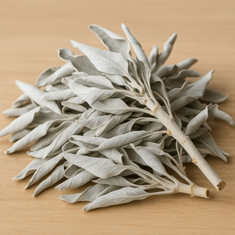 White Sage – 香りで空気を澄ませる、静かなひととき