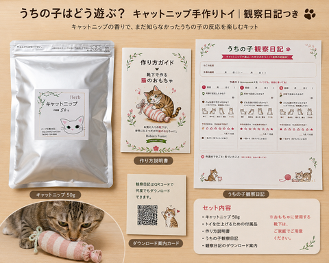 うちの子はどう遊ぶ? キャットニップ手作りトイ|観察日記つき