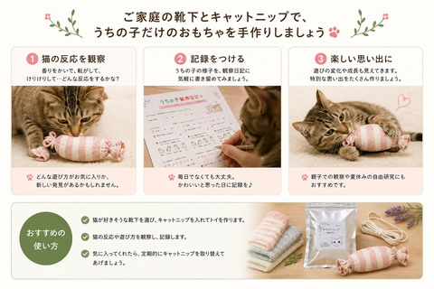 うちの子はどう遊ぶ? キャットニップ手作りトイ|観察日記つき