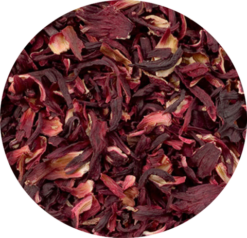 ハイビスカス/Hibiscus