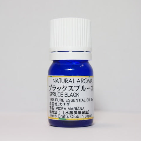 ブラックスプルース (Black Spruce)