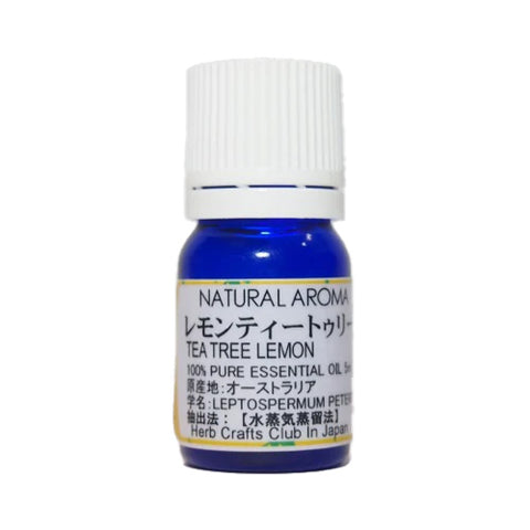レモンティートゥリー (Lemon Tea Tree)