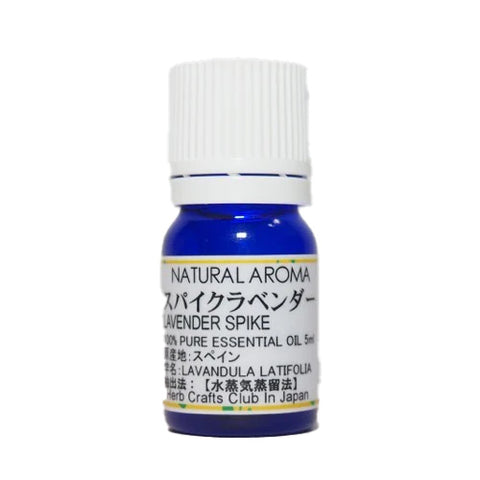 ラベンダースパイク(Lavender Spicke)