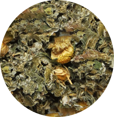 リラックスティー