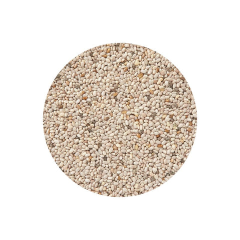 有機ホワイトチアシード/Organic Chia seed(White)