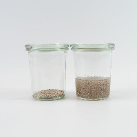有機ホワイトチアシード/Organic Chia seed(White)