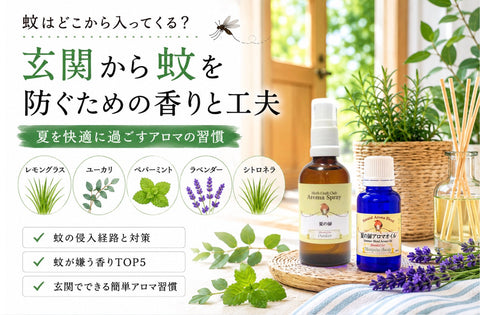 蚊はどこから家に入る？玄関・網戸まわりを香りで整える夏の習慣