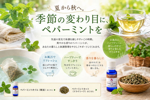 季節の変わり目にペパーミントを