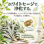 【新発売】ホワイトセージ＆スイートグラス ミスト 20ml｜携帯用・全国送料無料