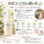 【新発売】ホワイトセージ＆スイートグラス ミスト 20ml｜携帯用・全国送料無料